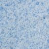 жидкие обои SILK PLASTER Victoria 717